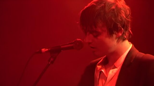 Peter Doherty 'Stranger In My Own Skin' (film, talk and mini-concert)