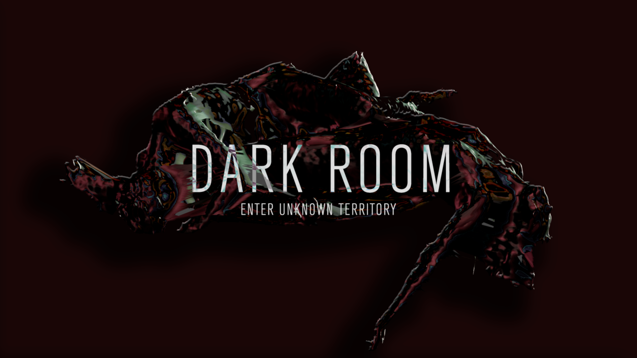 DARK ROOM- ENTER UNKNOWN TERRITORY