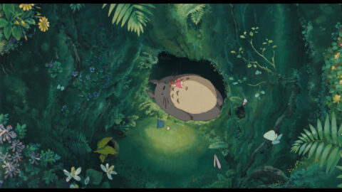 Miyazaki - Spirit of Nature