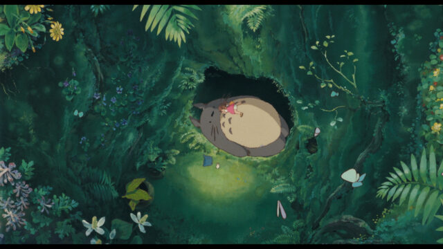 Miyazaki - Spirit of Nature