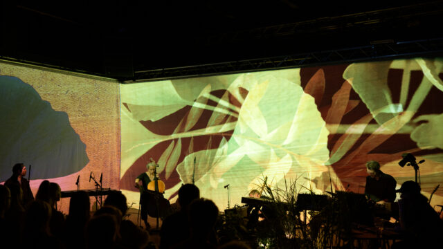 Garden Alchemy (interactive concert)