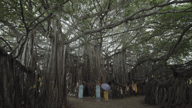 GOD OF THE IN-BETWEEN