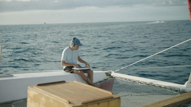 The Musician And The Whale