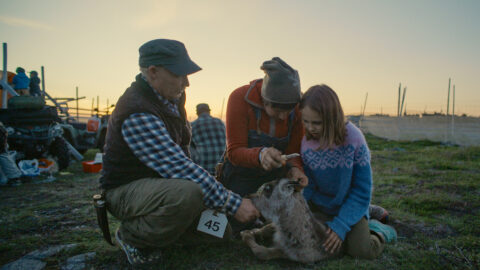 Let Our Mountains Live