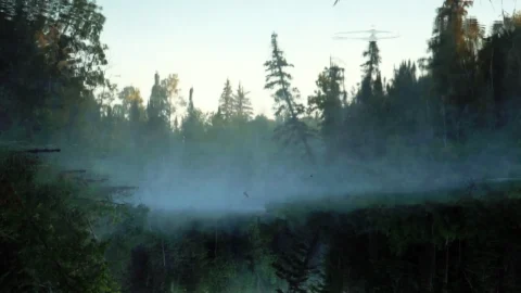 While the Green Grass Grows: A Diary in Seven Parts