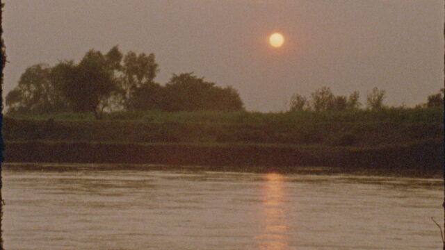 They (no longer) remember