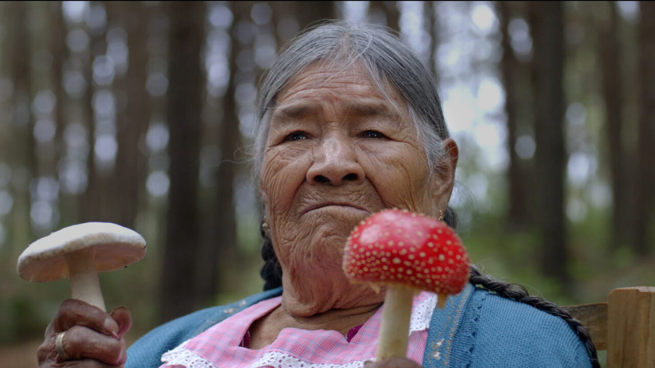 Mushrooms as Medicine — an Evening of Dinner & Film