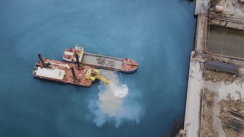 Law and litigation as tools in the climate and environmental fight