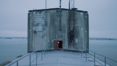 Form follows community