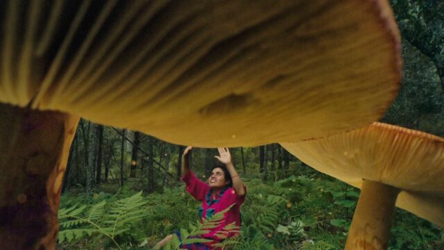 Daughters of the Forest: Mycelium Chronicles - Press & Industry Screening