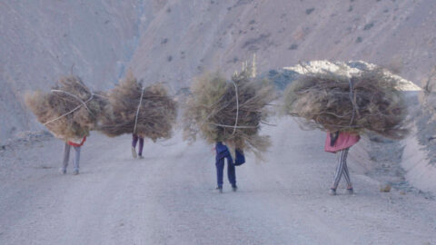 All Kids Have the Right to Education: A Screening in Collaboration with Africa Engage